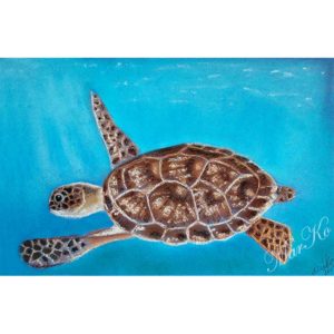Картина с морской черепахой